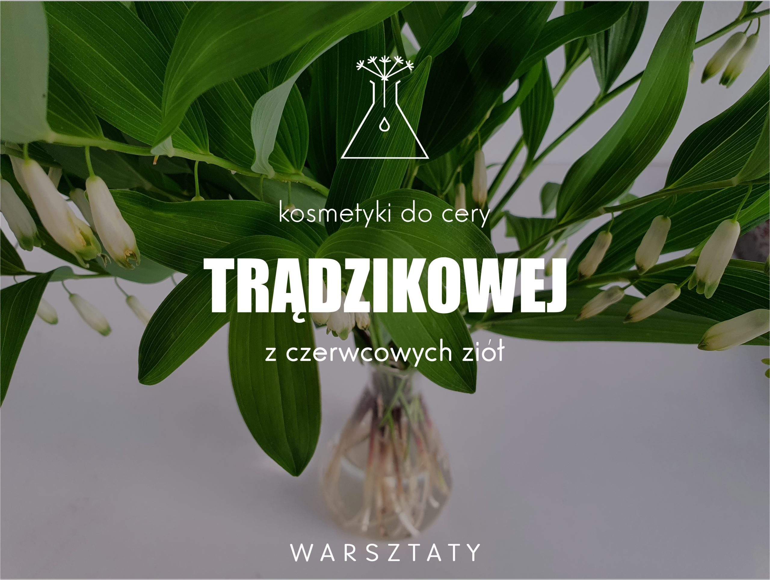 Naturalne kosmetyki do cery trądzikowej z polskich ziół - warsztaty Bydgoszcz. Atrakcje Bydgoszcz